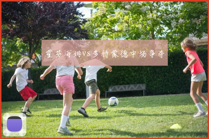 霍芬海姆vs多特蒙德中场争夺