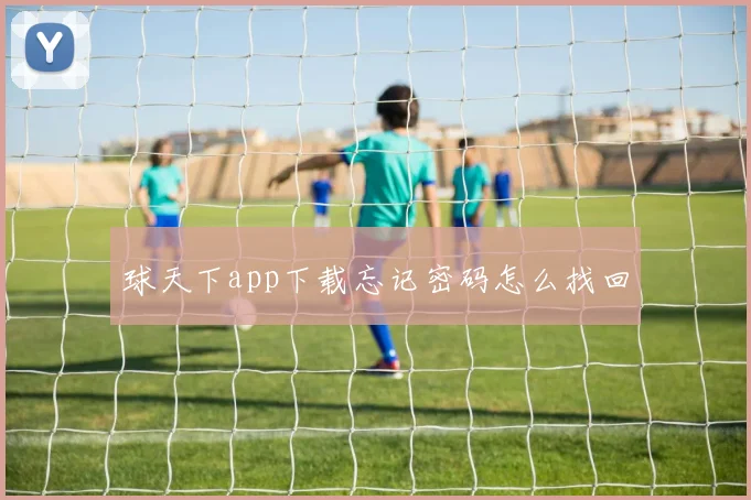 球天下app下载忘记密码怎么找回