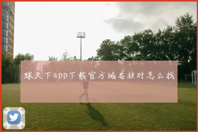 球天下app下载官方域名核对怎么找