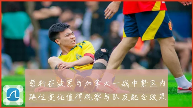 哲科在波黑与加拿大一战中禁区内跑位变化值得观察与队友配合效果