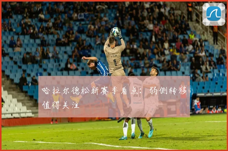 哈拉尔德松新赛季看点:弱侧转移值得关注