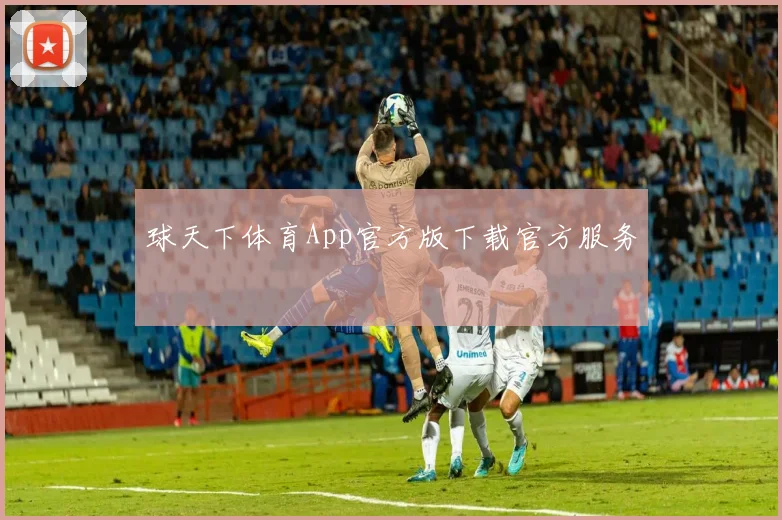 球天下体育App官方版下载官方服务